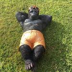 Charming Gorilla Monkey Garden Ornament Statue