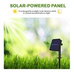 100 LED Solar Globe String Lights - 59ft