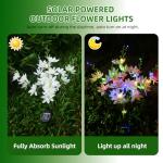 2 Pack Solar Flower Lights for Yard Decor