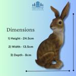 24cm Sitting Garden Hare Statue - Resin Bunny Décor