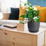 Set of 3 Modern Black Plant Pots with Drainage