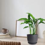 Set of 3 Modern Black Plant Pots with Drainage