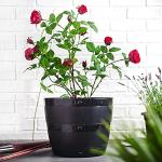 Black 50L Plant Pot Tub for Indoor/Outdoor Use