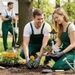 Solar Duck Statue Planter for Garden Décor