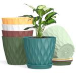 Colorful 6-Pack Plastic Plant Pots with Saucers