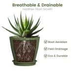 Colorful 6-Pack Plastic Plant Pots with Saucers