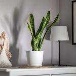 Colorful Matte Plastic Flower Pots with Saucer