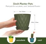 Colorful 6-Pack Plastic Plant Pots with Saucers