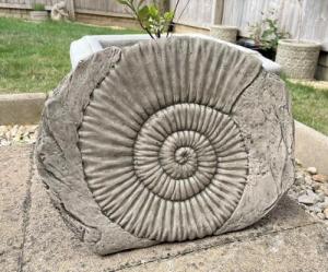 Ammonite Fossil Stone Dinosaur Garden Ornament