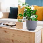 Set of 3 Modern Decorative Plant Pots