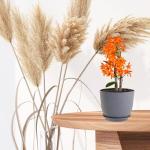 Set of 3 Modern Decorative Plant Pots