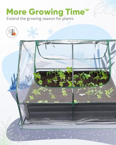 Quictent 4x3x1 Ft Raised Garden Bed with Greenhouse