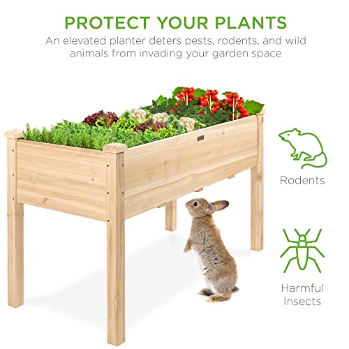 Raised Garden Bed Wood Planter Box - Natural