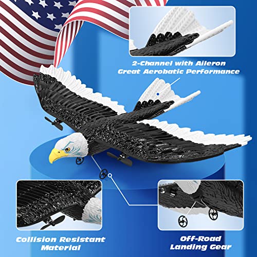 DEERC RC Eagle Plane: Easy-Fly Remote Control Airplane