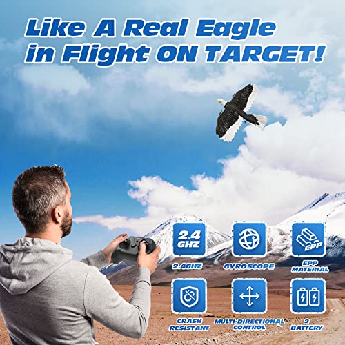 DEERC RC Eagle Plane: Easy-Fly Remote Control Airplane