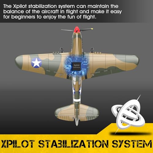 VOLANTEXRC P40 Warhawk RC Plane for Beginners and Experts (761-13)