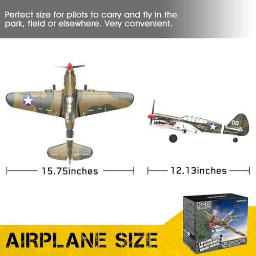 VOLANTEXRC P40 Warhawk RC Plane for Beginners and Experts (761-13)