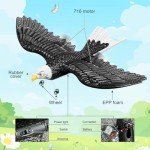 HAWK'S WORK RC Eagle, 2 CH RC Plane Ready to Fly, 2.4GHz Remote Control Airplane, Easy to Fly RC Glider for Kids & Beginners