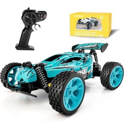 Off-Road RC Cars