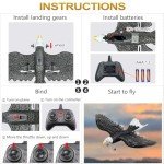 HAWK'S WORK RC Eagle, 2 CH RC Plane Ready to Fly, 2.4GHz Remote Control Airplane, Easy to Fly RC Glider for Kids & Beginners