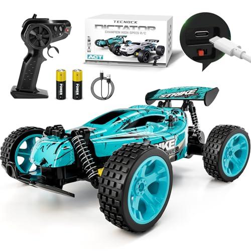Off-Road RC Cars