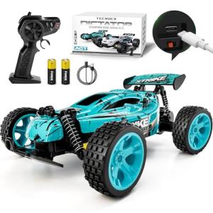 Tecnock RC Car - High Speed Off Road Buggy