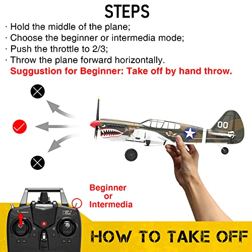 VOLANTEXRC P40 Warhawk RC Plane for Beginners and Experts (761-13)