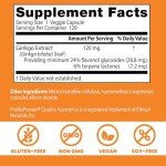 Extra Strength Ginkgo for Mental Focus and Memory
