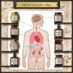 250 Natural Remedies for Anxiety and Focus