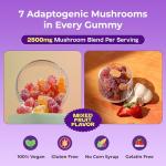 Organic Ashwagandha & Lion's Mane Gummies for Focus