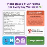 Organic Ashwagandha & Lion's Mane Gummies for Focus