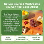 Organic Ashwagandha & Lion's Mane Gummies for Focus