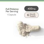 High Absorption Magnesium Glycinate 400mg - 180 Capsules