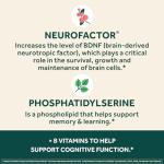 Neuriva Plus Brain Supplement for Focus and Clarity