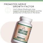 Organic Lions Mane Capsules for Brain Support