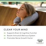 Organic Lions Mane Capsules for Brain Support