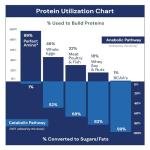BodyHealth PerfectAmino: Essential Amino Acid Supplement