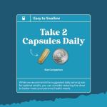 Brain Boosting Nootropic Supplement for Focus & Clarity