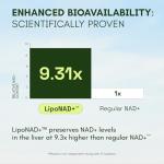 Liposomal NAD & Resveratrol for Energy & Focus