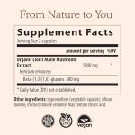 Lion's Mane Mushroom Capsules for Brain Health