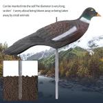 6 Pack Dove Decoys Half Shells for Hunting