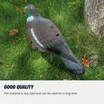 6 Pack Dove Decoys Half Shells for Hunting