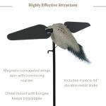 Lucky Duck Ultra Realistic Spinning Wing Dove Decoy