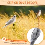 Bucherry 4 Pack Realistic Dove Decoys