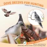Bucherry 6 Pack Realistic Dove Hunting Decoys