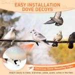 Bucherry 6 Pack Realistic Dove Hunting Decoys