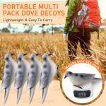 Bucherry 6 Pack Realistic Dove Hunting Decoys