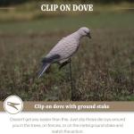 Lucky Duck Clip-On Dove Decoys, 4 Pack