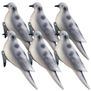 Bucherry 6 Pack Realistic Dove Hunting Decoys