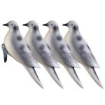 Bucherry 4 Pack Realistic Dove Decoys